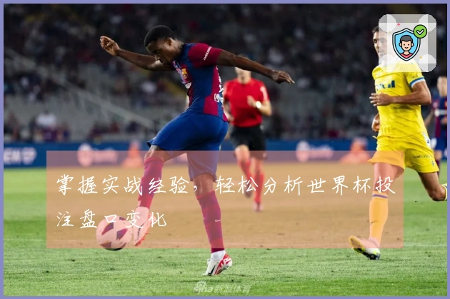 掌握实战经验，轻松分析世界杯投注盘口变化