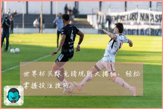 世界杯买球竞猜规则大揭秘，轻松掌握投注技巧