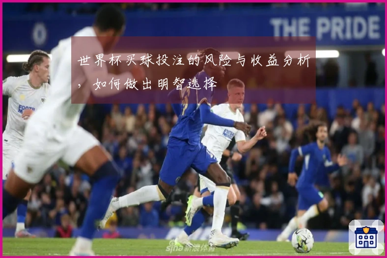 世界杯买球投注的风险与收益分析，如何做出明智选择