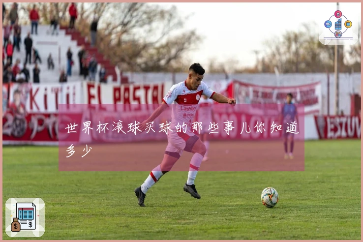 世界杯滚球买球的那些事儿你知道多少