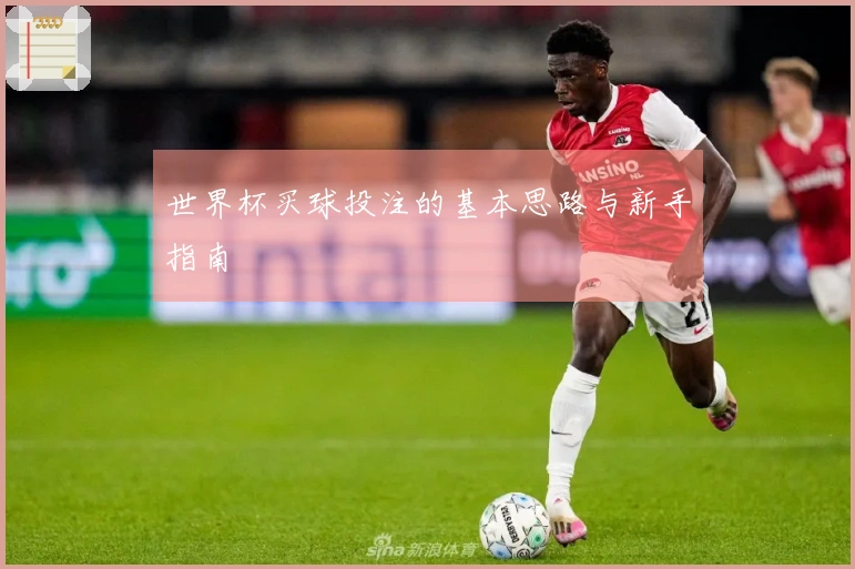 世界杯买球投注的基本思路与新手指南