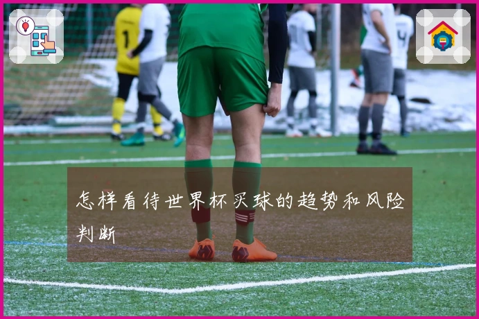 怎样看待世界杯买球的趋势和风险判断