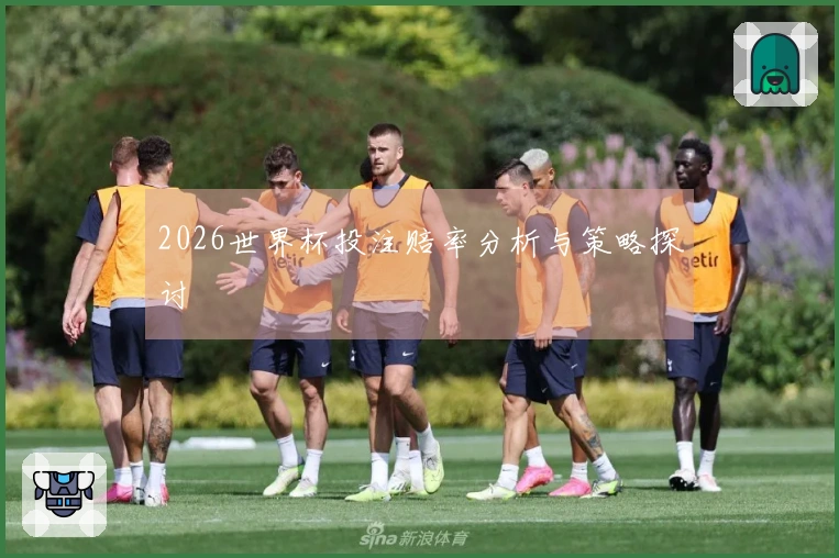 2026世界杯投注赔率分析与策略探讨