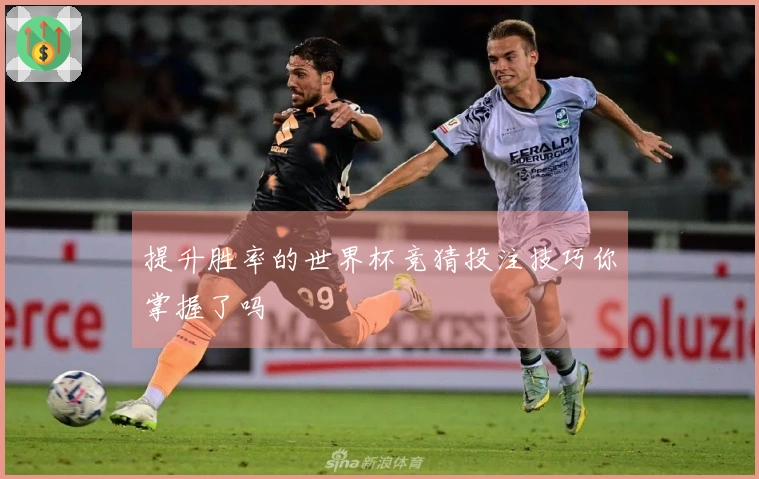 提升胜率的世界杯竞猜投注技巧你掌握了吗