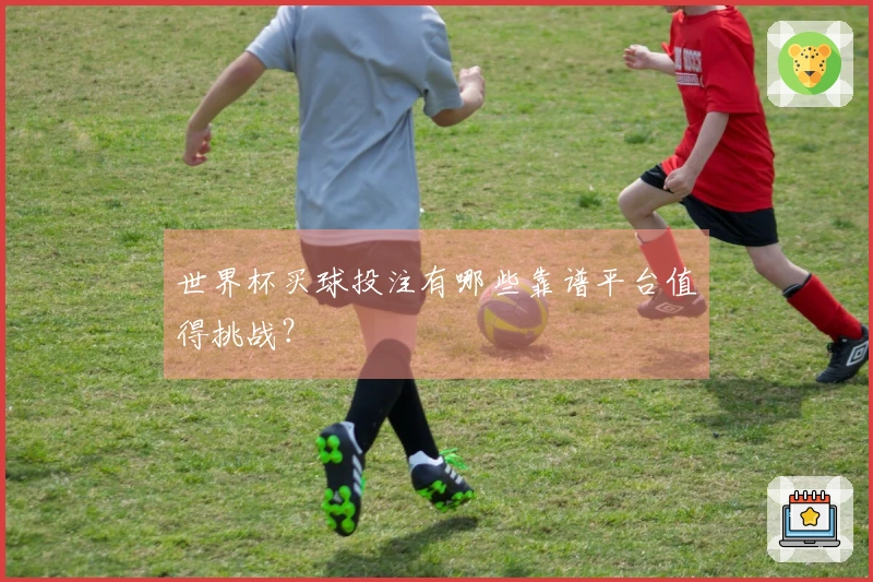 世界杯买球投注有哪些靠谱平台值得挑战？