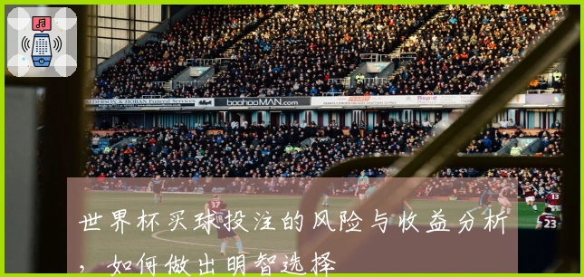 世界杯买球投注的风险与收益分析，如何做出明智选择