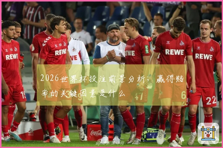 2026世界杯投注前景分析，赢得赔率的关键因素是什么